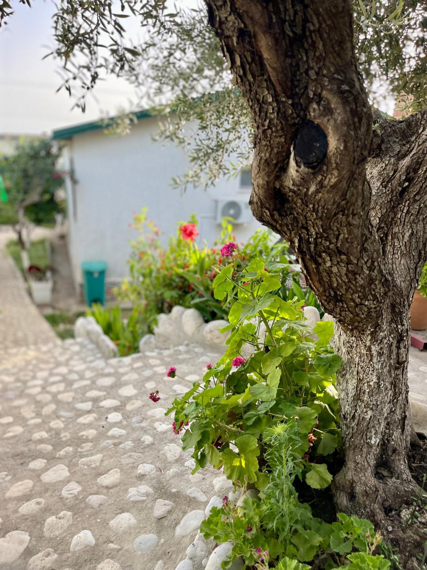 דרמי Chalet Ambel מראה חיצוני תמונה