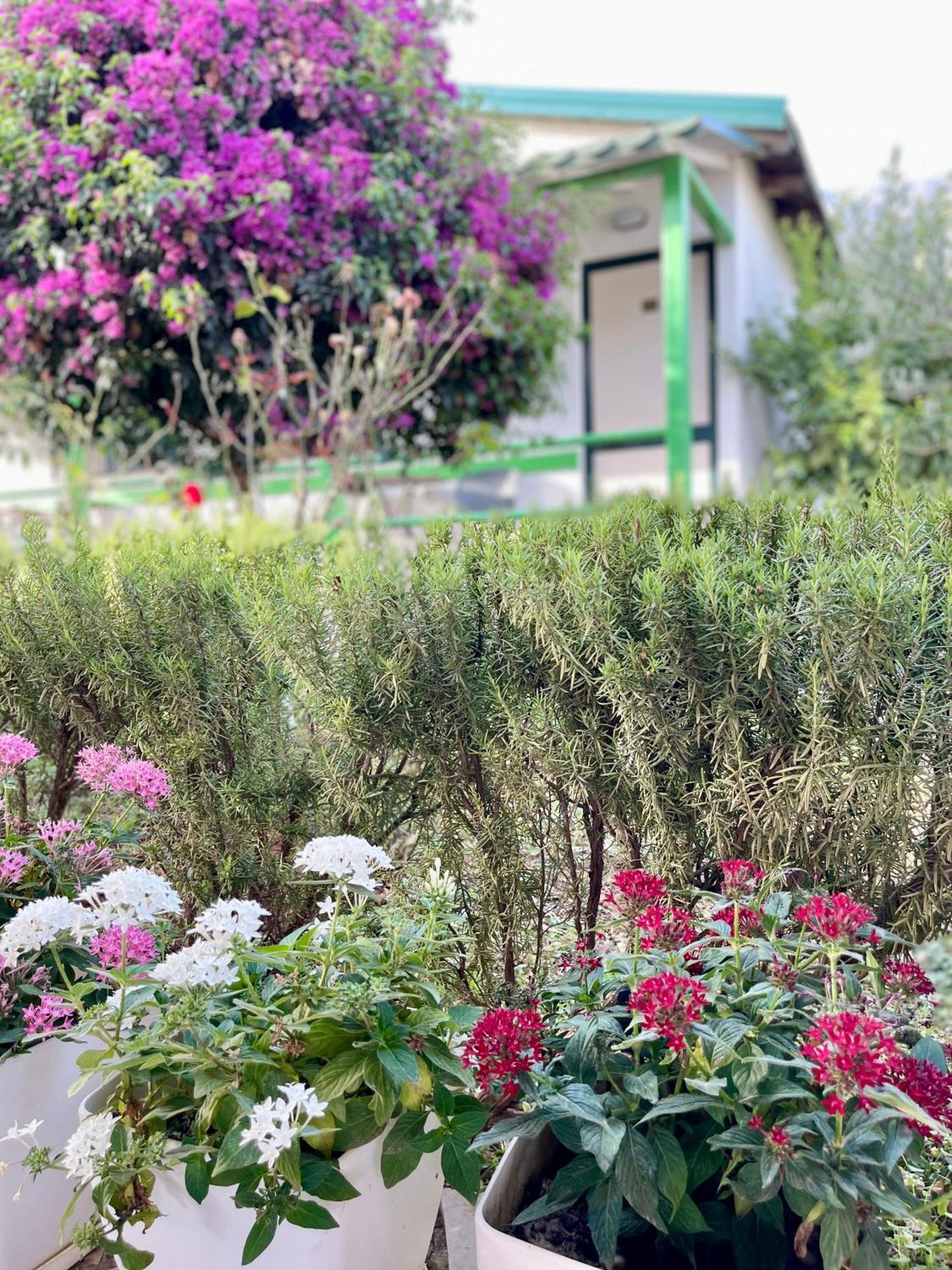 דרמי Chalet Ambel מראה חיצוני תמונה