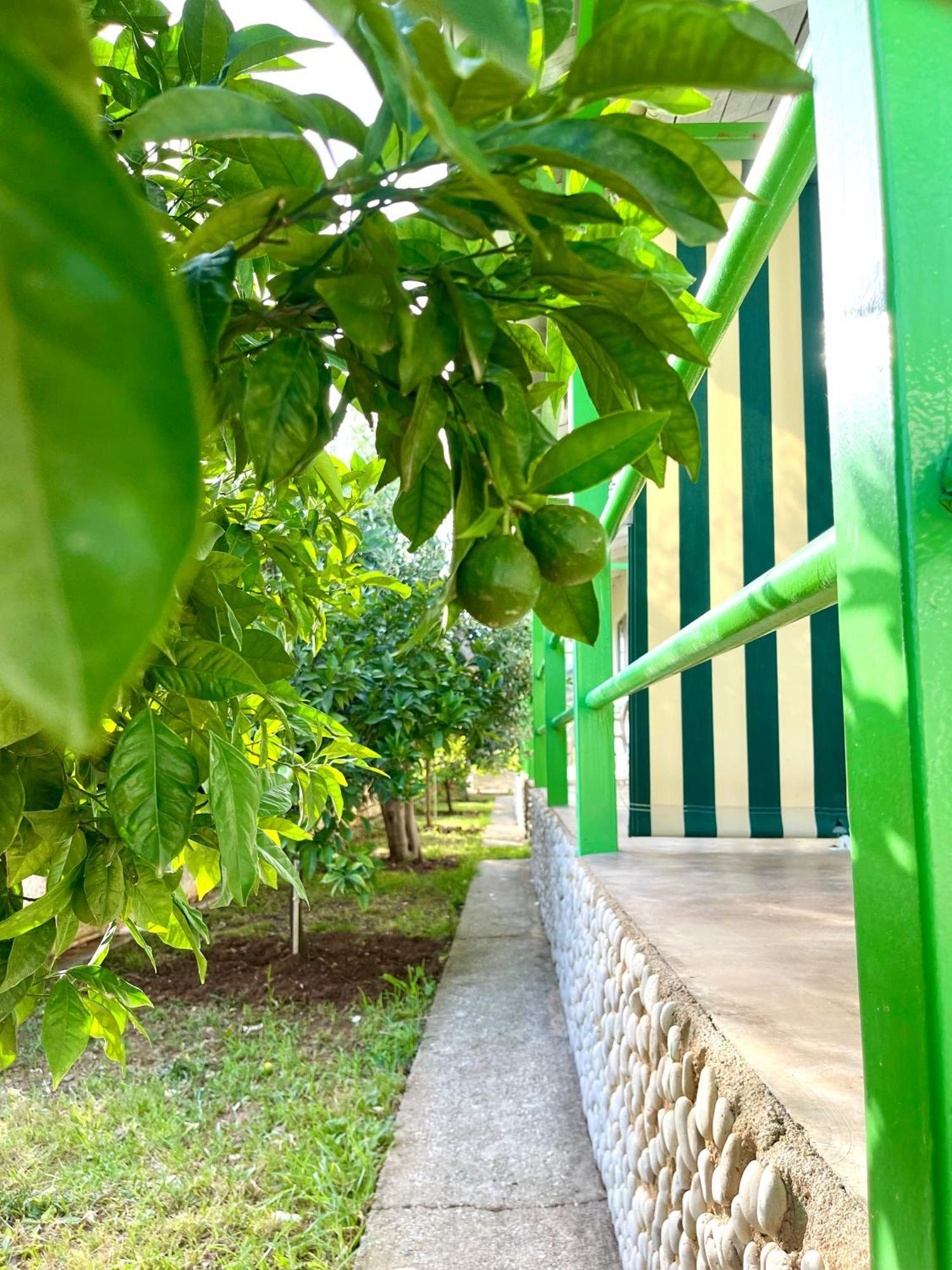 דרמי Chalet Ambel מראה חיצוני תמונה